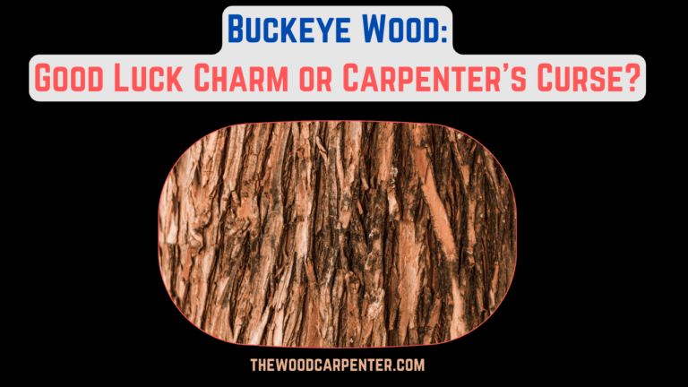 Buckeye tree Wood: Good Luck Charm or Carpenter's Curse? 1 Buckeye tree Wood