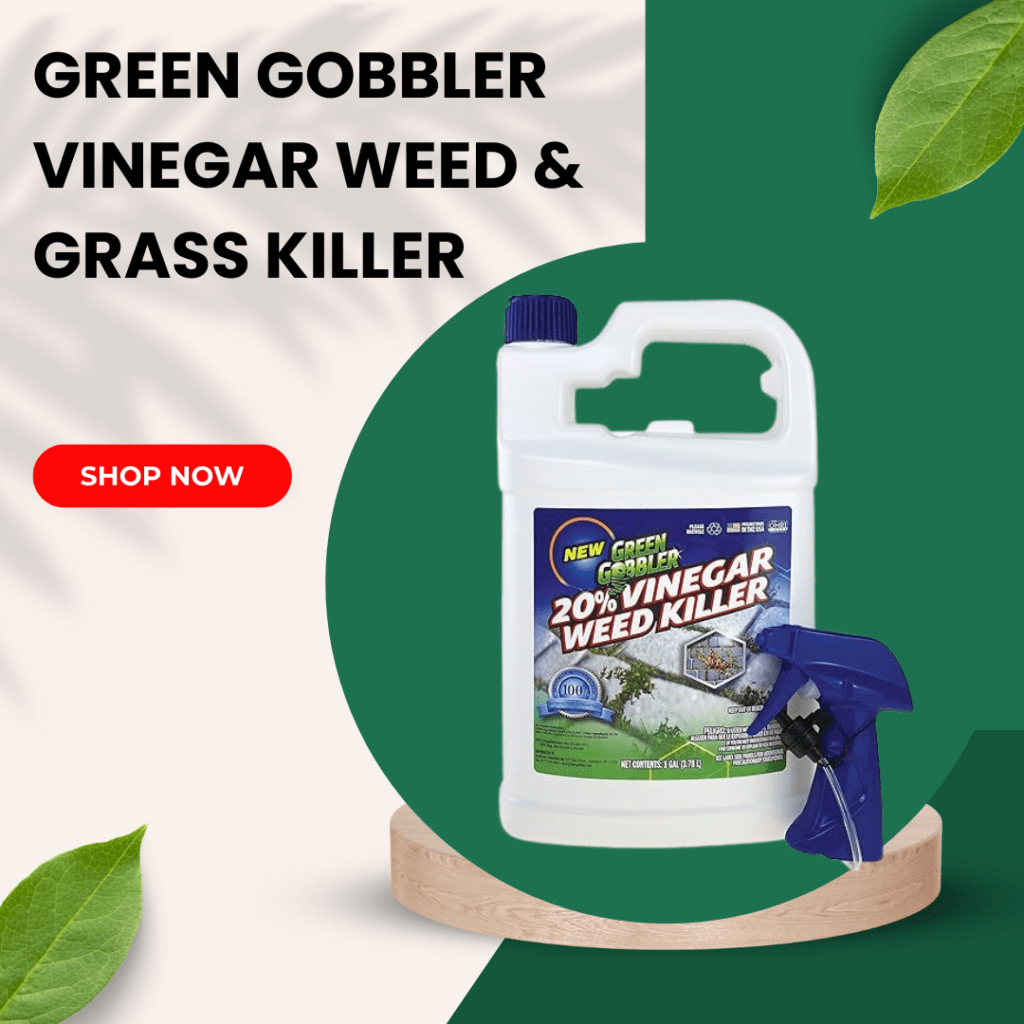 Top 5 Best Grass and Weed Killer 2 Green Gobbler Vinegar Weed Grass Killer