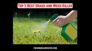 Top 5 Best Grass and Weed Killer