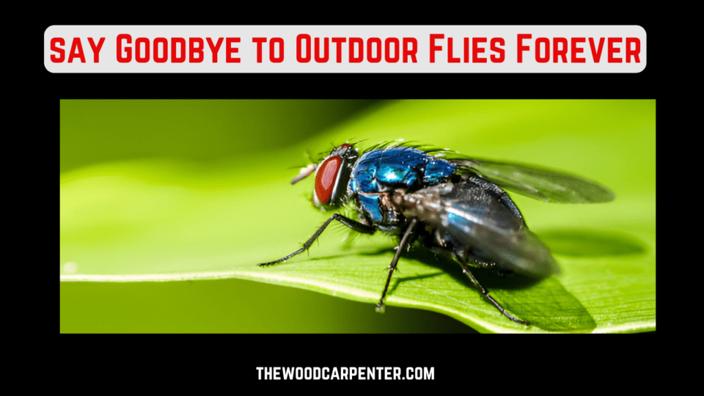 Say Goodbye to Outdoor Flies Forever with These Genius Tricks! 1 Outdoor Flies