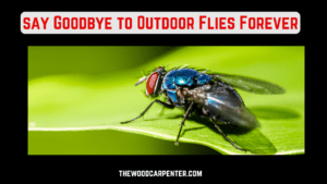 say Goodbye to Outdoor Flies Forever