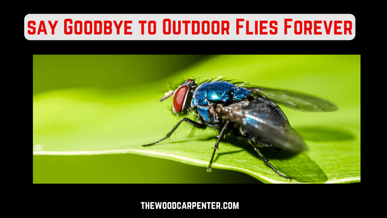 Say Goodbye to Outdoor Flies Forever with These Genius Tricks! 2 say Goodbye to Outdoor Flies Forever