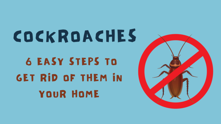Cockroaches: 6 Easy Steps to Get Rid of Them in Your Home