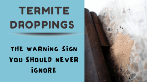 Termite Droppings: The Warning Sign You Should Never Ignore
