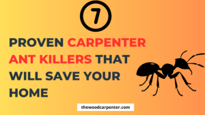 7 Proven Carpenter Ant Killers That Will Save Your Home
