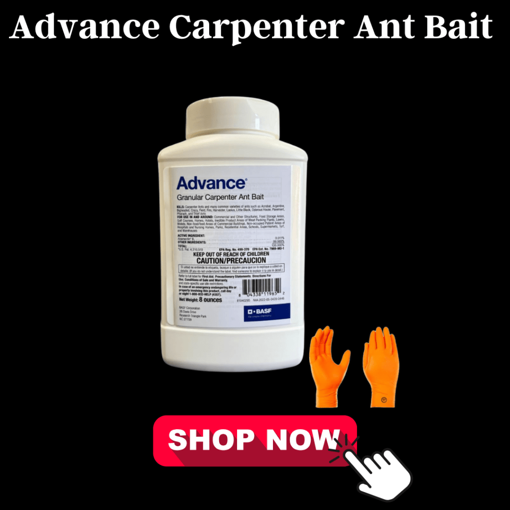7 Proven Carpenter Ant Killers That Will Save Your Home 4 Advance Carpenter Ant Bait