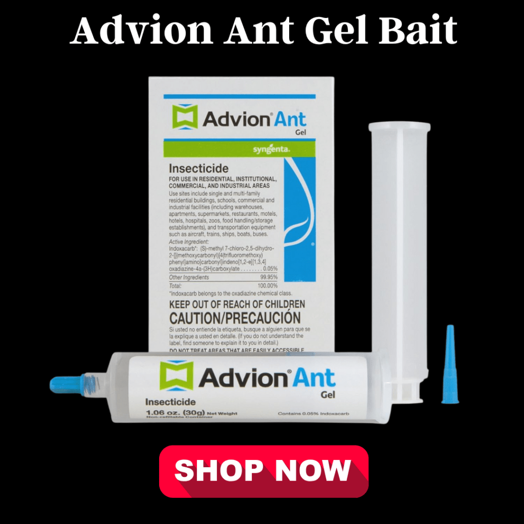 7 Proven Carpenter Ant Killers That Will Save Your Home 2 Advion Ant Gel Bait