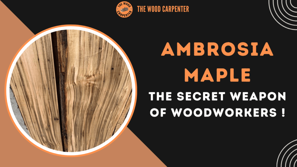 Ambrosia Maple: The Secret Weapon of Woodworkers!