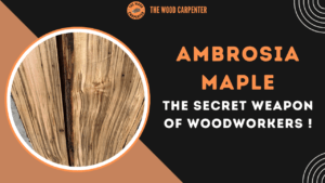 Ambrosia Maple: The Secret Weapon of Woodworkers!