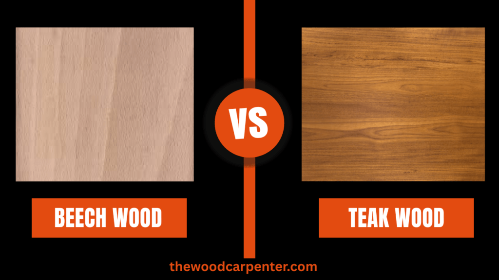 Beech wood vs Teak wood: Which Wood Wins ? 1 Beech wood vs Teak wood: Which Wood Wins ?