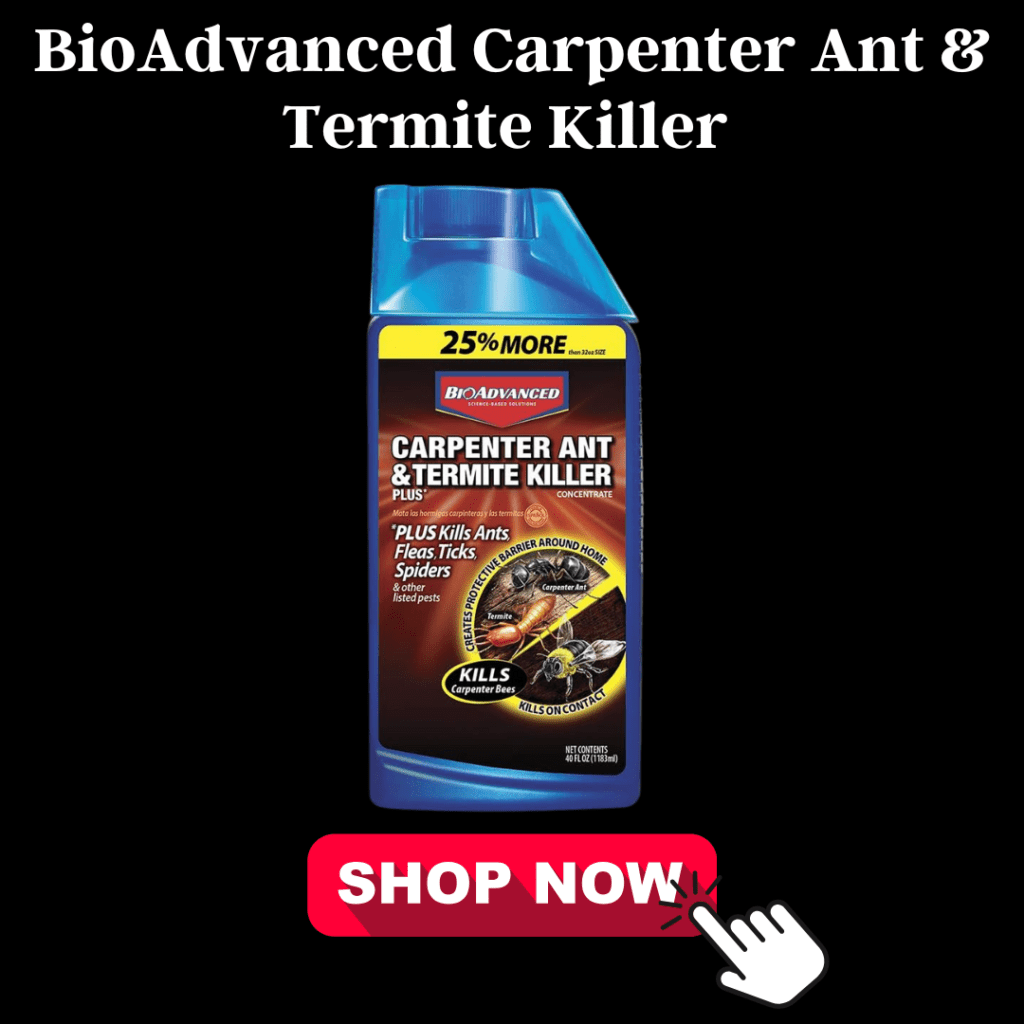 7 Proven Carpenter Ant Killers That Will Save Your Home 5 BioAdvanced Carpenter Ant Termite Killer