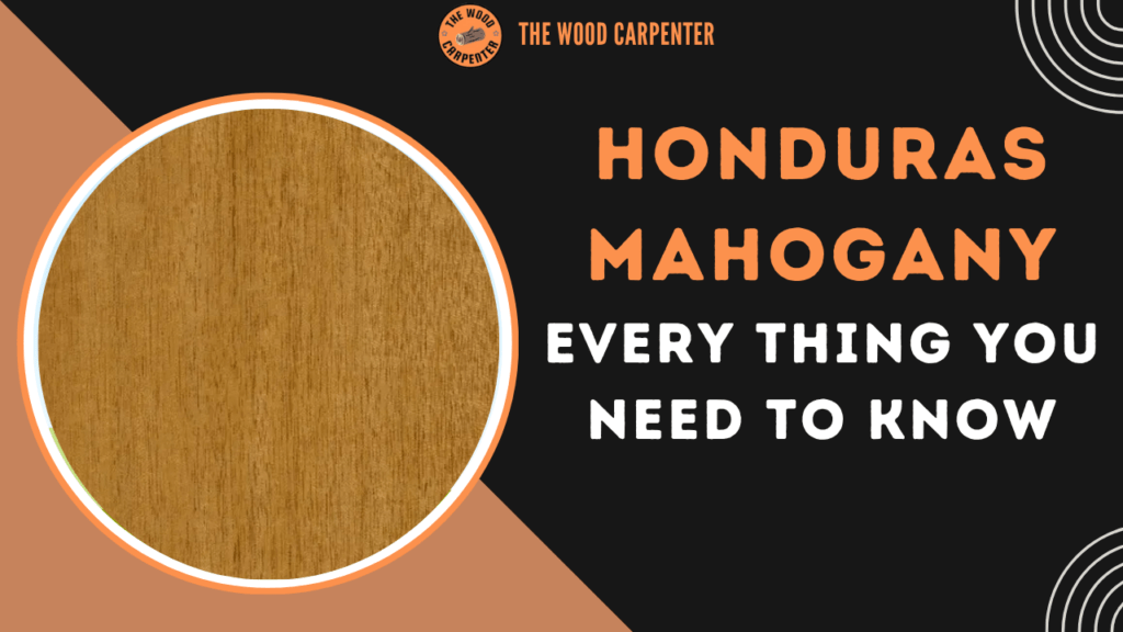 Honduras Mahogany: Everything you need to know 1 Honduras Mahogany: Everything you need to know