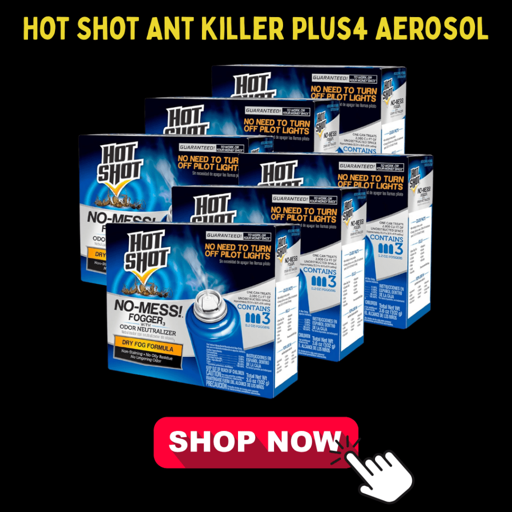 7 Proven Carpenter Ant Killers That Will Save Your Home 8 Hot Shot Ant Killer Plus4 Aerosol