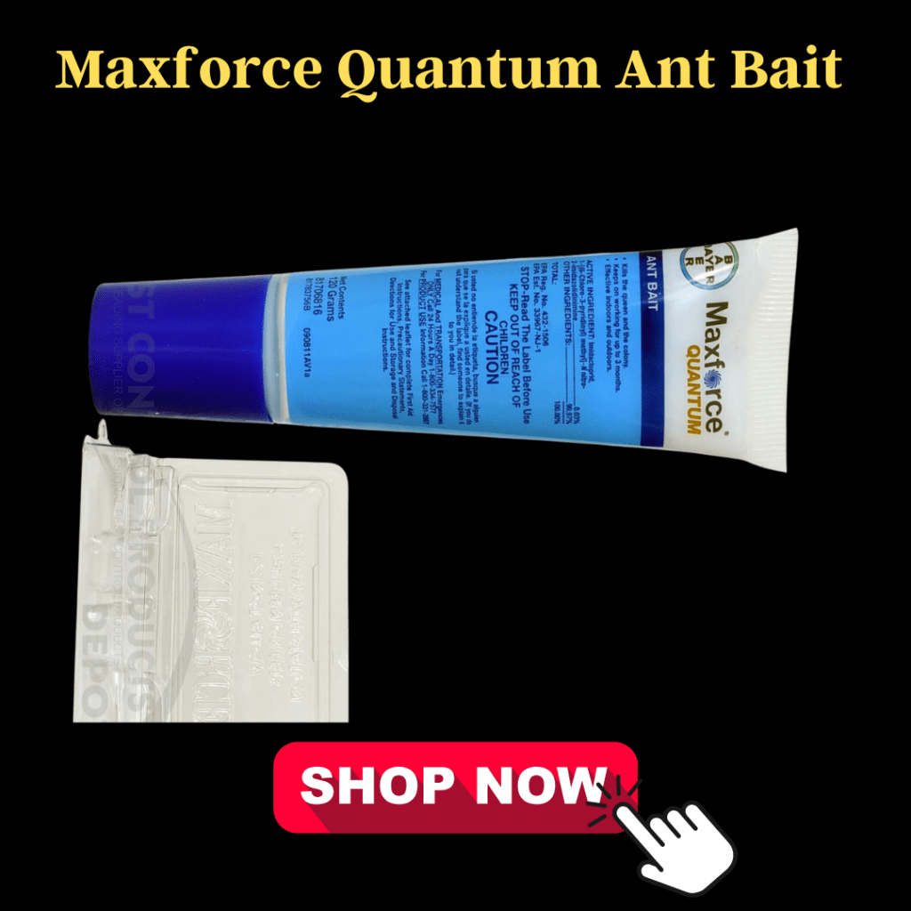 7 Proven Carpenter Ant Killers That Will Save Your Home 7 Maxforce Quantum Ant Bait