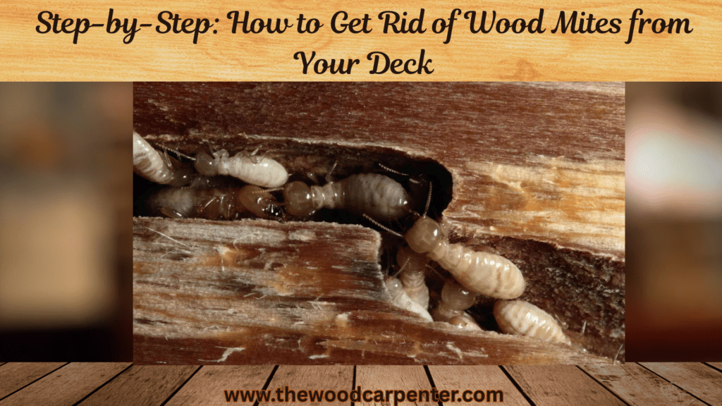 Get Rid of Wood Mites in a Deck in 6 Simple Steps! 2 Step by Step How to Get Rid of Wood Mites from Your Deck
