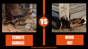Termite Damage vs Wood Rot