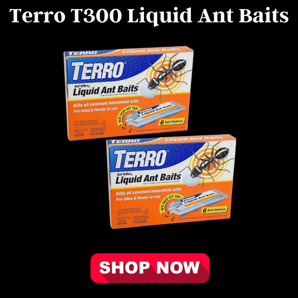 7 Proven Carpenter Ant Killers That Will Save Your Home 3 Terro T300 Liquid Ant Baits