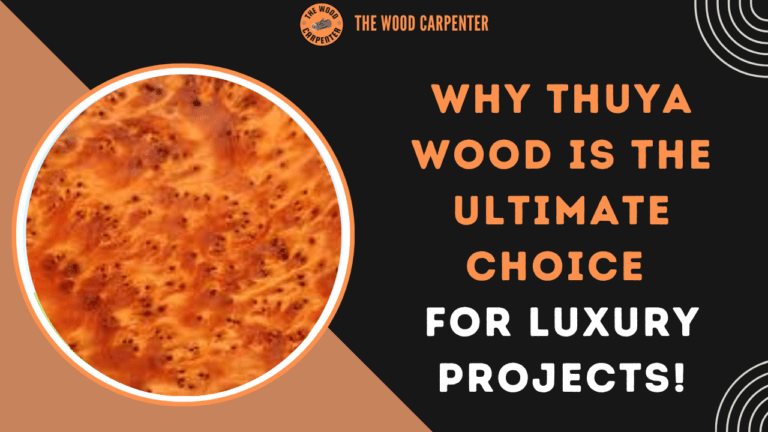 Why Thuya Wood is the Ultimate Choice for Luxury Projects! 1 Thuya Wood