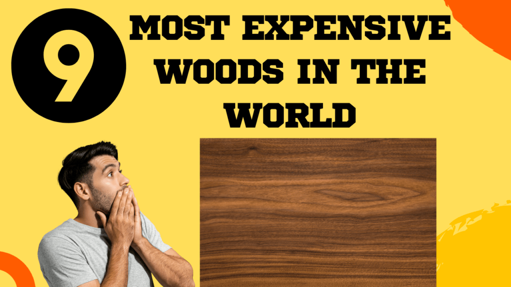 9 Most Expensive Woods in the World 1 Most Expensive Woods in the World