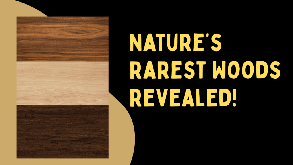 Secret Woods many never Knew Existed ! 1 Natures Rarest Woods Revealed