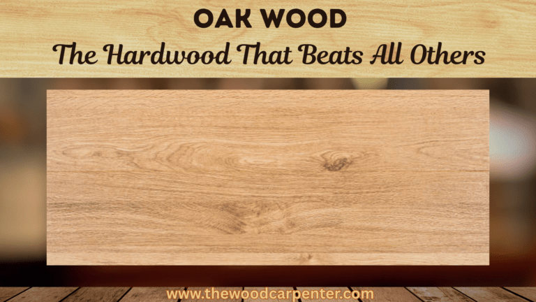 Oak Wood Uncovered: The Hardwood That Beats All Others 1 Oak Wood
