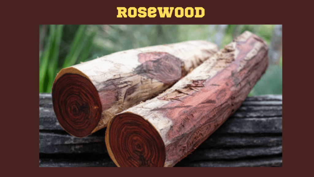 9 Most Expensive Woods in the World 4 Rosewood