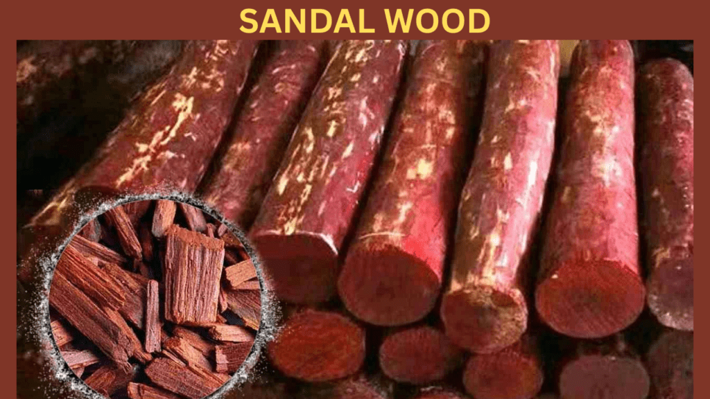 9 Most Expensive Woods in the World 2 SANDAL WOOD