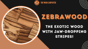 Zebrawood