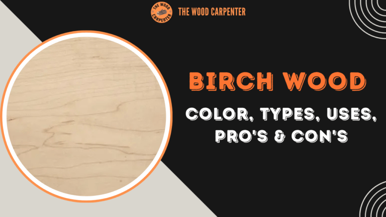 Birch Wood