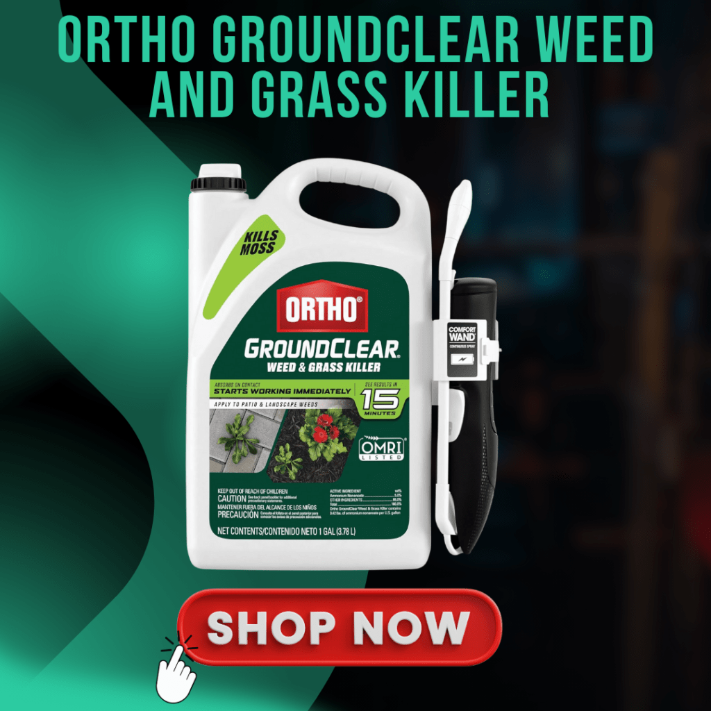 Ortho GroundClear Weed & Grass Killer 