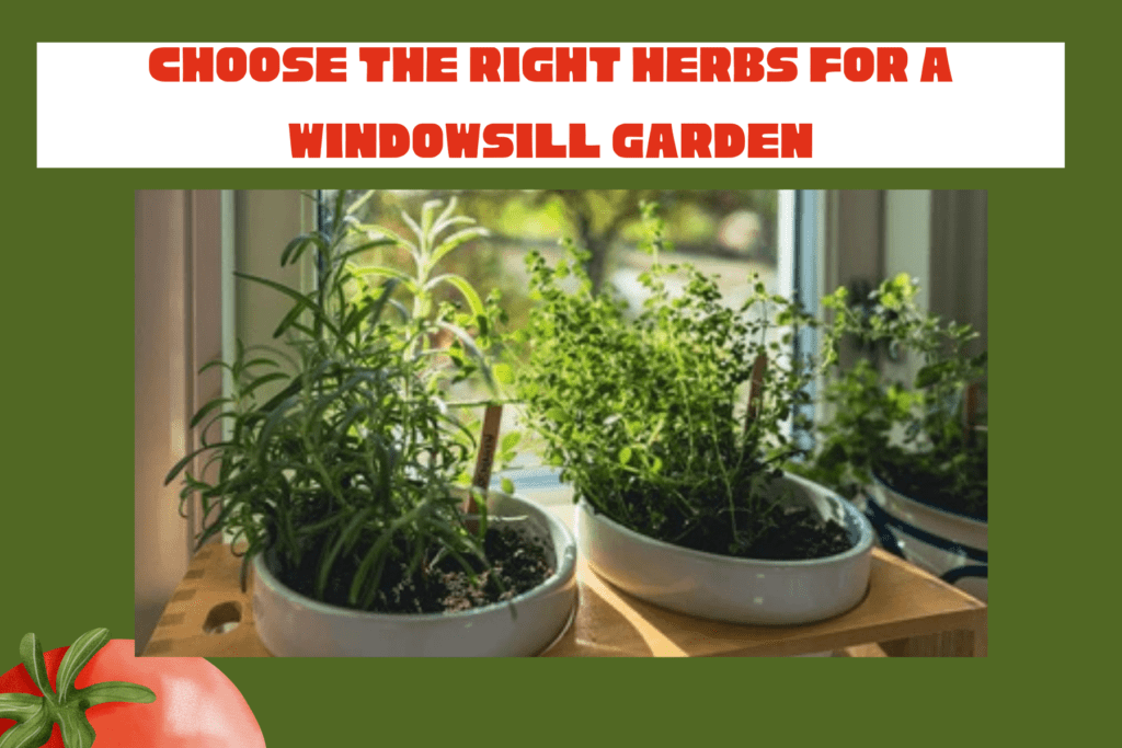 Choose the Right Herbs for a Windowsill Garden