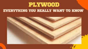 PLYWOOD