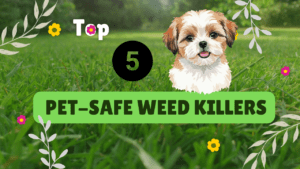 Top 5 Pet-Safe Weed Killers in 2025 - Ultimate Guide