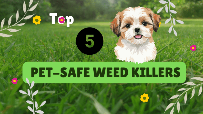 Top 5 Pet-Safe Weed Killers in 2025 - Ultimate Guide