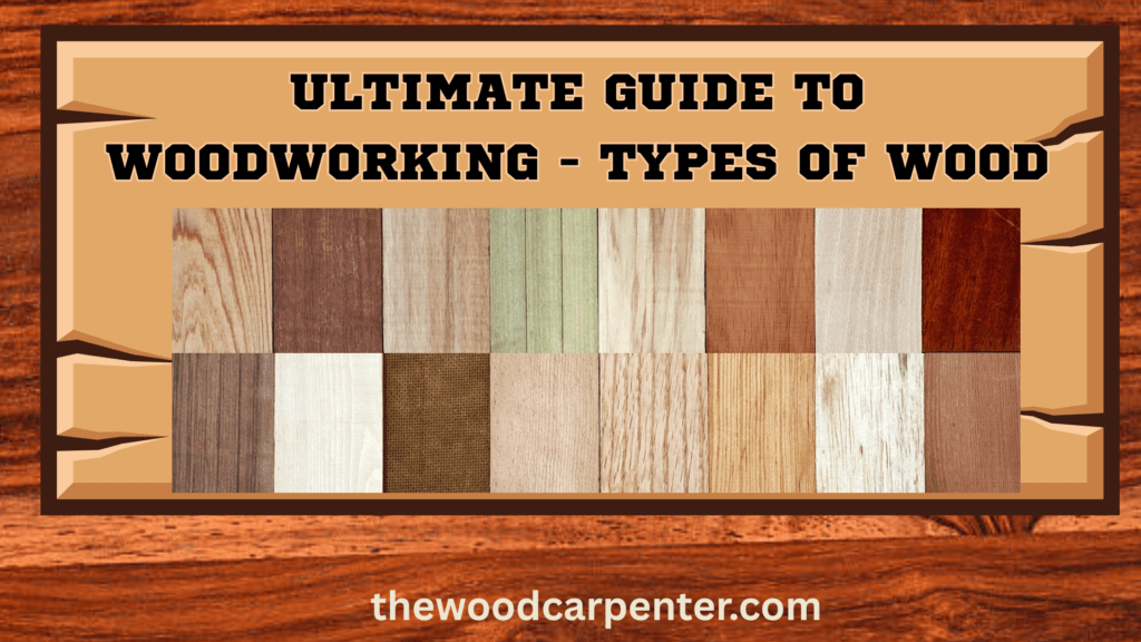 Ultimate Guide to Woodworking Types of Wood