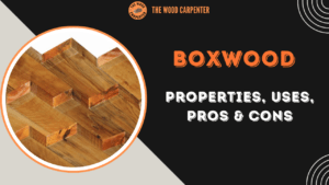Boxwood Uncovered: Properties, Uses, Pros & Cons