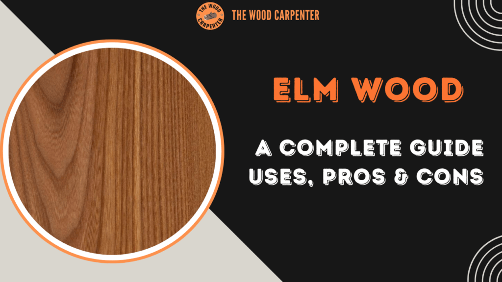 Elm Wood: A Complete Guide Uses, Pros & Cons