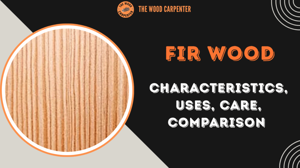 Fir Wood: Characteristics, Uses, Care, Comparison   