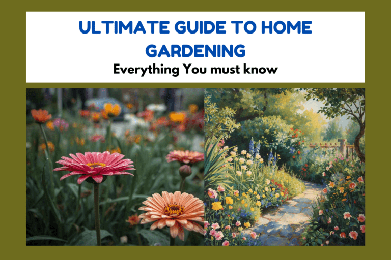 Ultimate Guide to Home Gardening: Everything You must know
