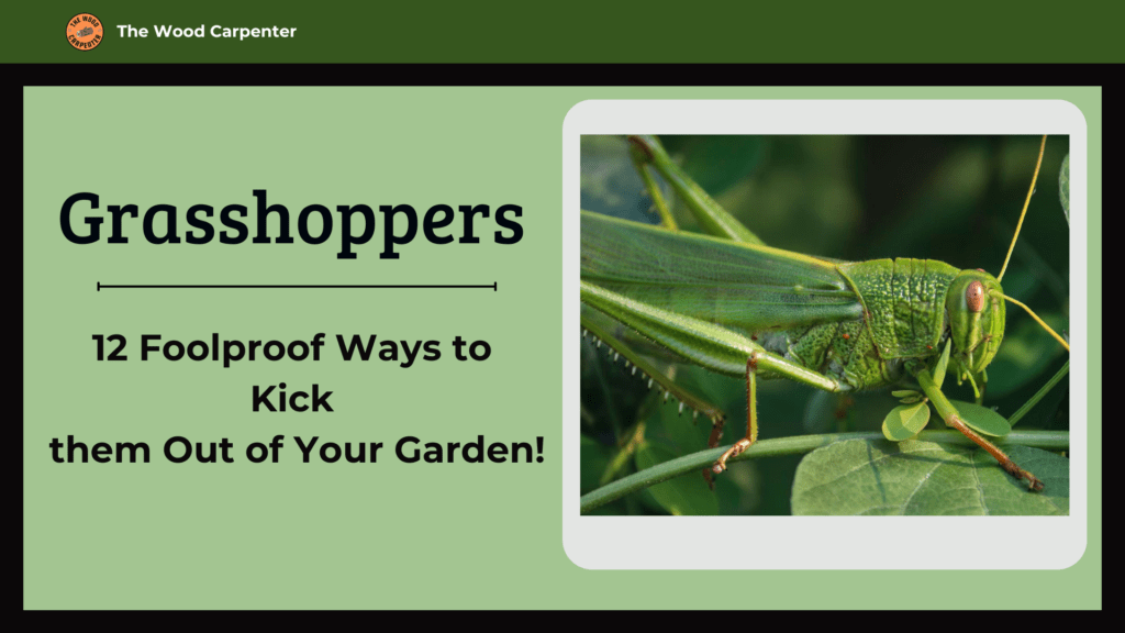 Grasshoppers Taking Over? Try These 12 Powerful Fixes! 1 grasshoppers how to get rid of them
