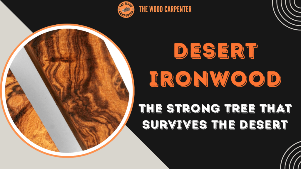 Desert Ironwood: The Strong Tree That Survives the Desert 1 Desert Ironwood