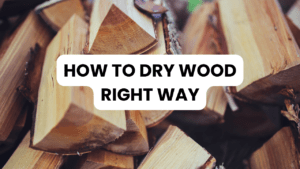 How To Dry Wood Right Way: Simple Guide For Best Results