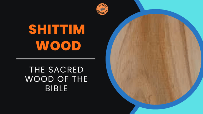 Shittim Wood: The Sacred Wood of the Bible 2 Shittim Wood: The Sacred Wood of the Bible