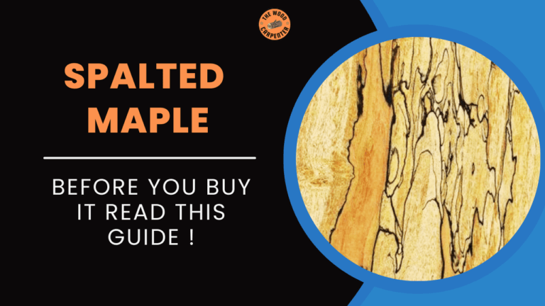 Before You Buy Spalted Maple, Read This Guide ! 4 Spalted Maple