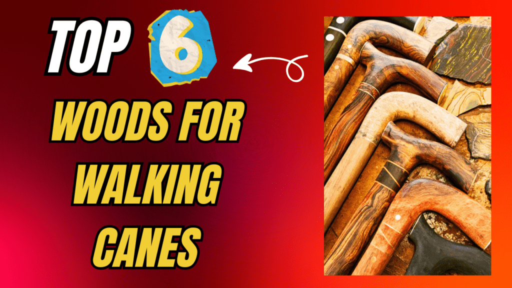 Top 6 Woods for Walking Canes That Last for Years 1 Top 6 Woods for Walking Canes That Last for Years