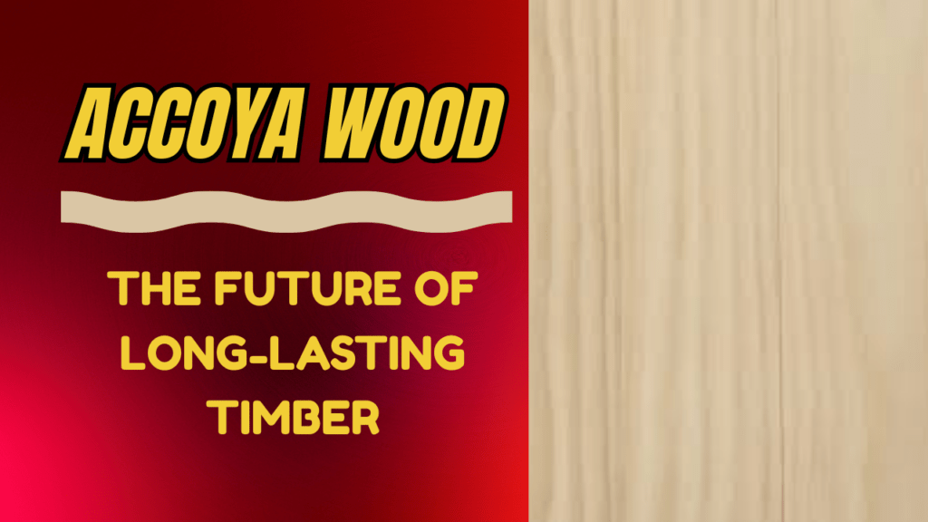 Why Accoya Wood Is Worth Every Penny 2 Why Accoya Wood Is Worth Every Penny