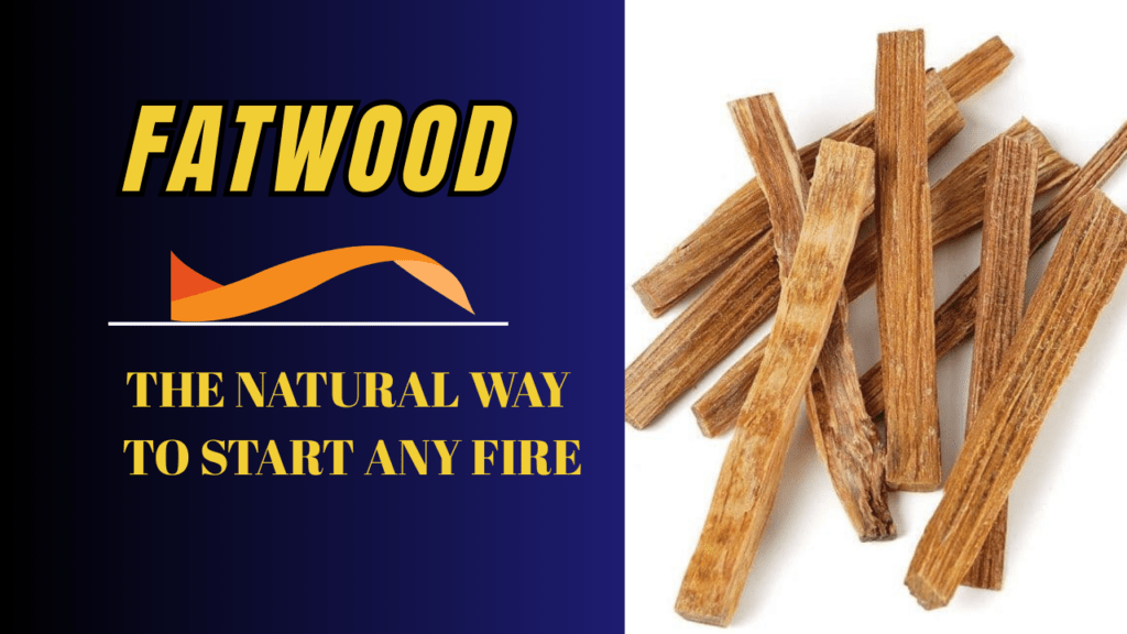 Why Fatwood Is the Ultimate Fire Starter 1 Fatwood
