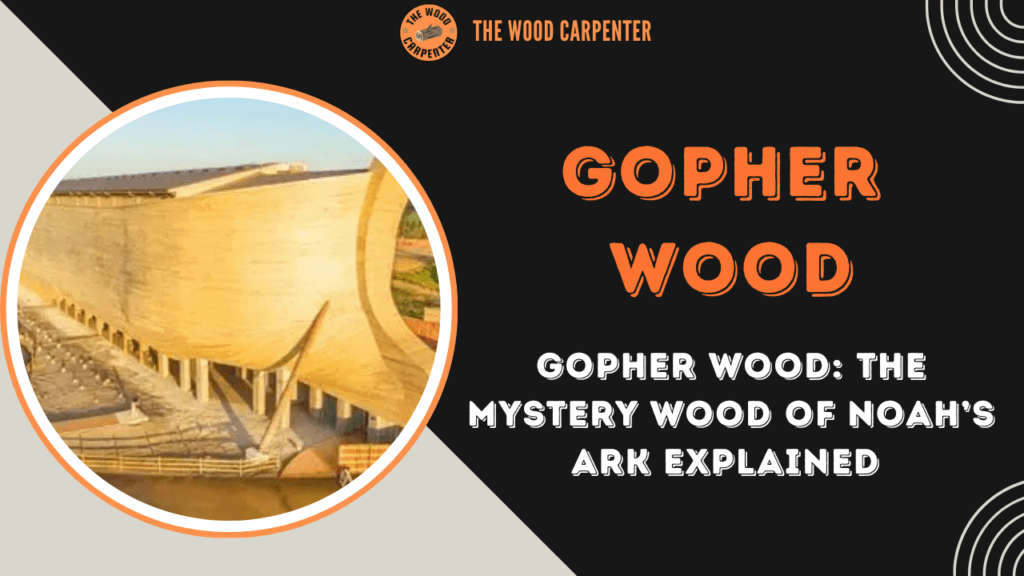 Gopher Wood: The Mystery Wood of Noah’s Ark Explained 1 Gopher Wood