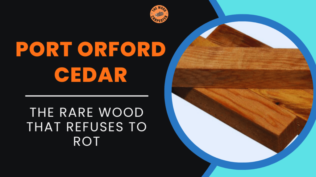 Port Orford Cedar: The Rare Wood That Refuses to Rot 1 Port Orford Cedar