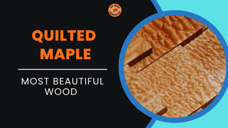 Why Quilted Maple Is the Most Beautiful Wood on Earth ? 6 Why Quilted Maple Is the Most Beautiful Wood on Earth ?